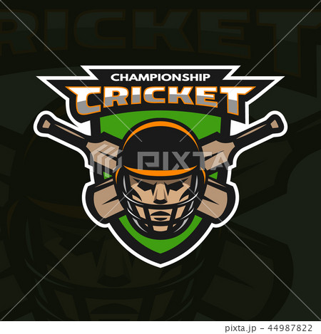 Player on the background of the shield. 44987822