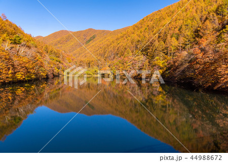 竜ヶ沢ダムの紅葉 44988672
