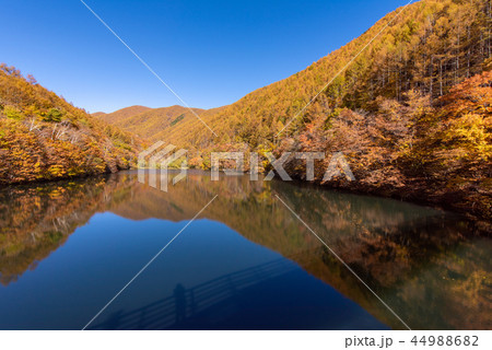 竜ヶ沢ダムの紅葉 竜ヶ沢ダムの紅葉 44988682