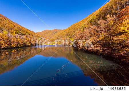 竜ヶ沢ダムの紅葉 44988686