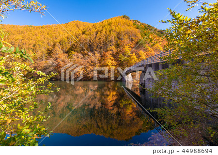 竜ヶ沢ダムの紅葉 44988694