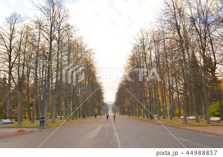 Central alley in park at autumn. Central alley in park at autumn. 44988857