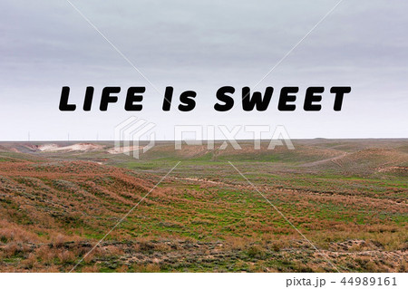 Inspirational quote. Nature, steppe. Inspirational quote. Nature, steppe. 44989161