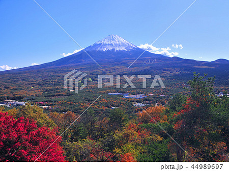 紅葉台からの富士山-4460 44989697