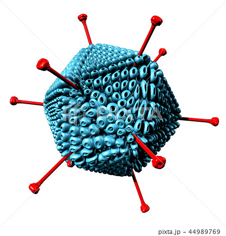 Adenovirus 44989769