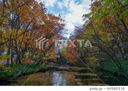 鳥沼の空撮 鳥沼の空撮 44990316