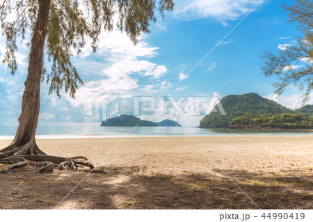 Sea and beach view with pine and island 44990419