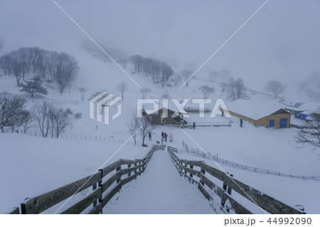 大関嶺 冬 雪景色 44992090
