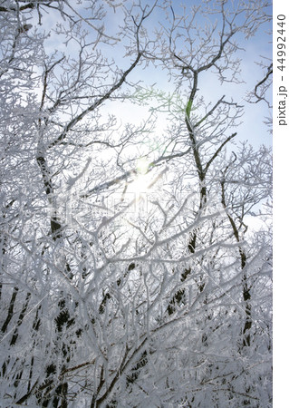 江原道 韓国 屋外 44992440