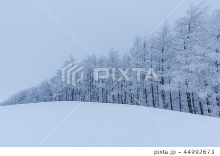 江原道 韓国 屋外 44992673