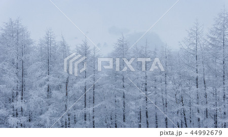 江原道 韓国 屋外 44992679