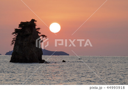 忠南 韓国 屋外 44993918