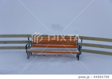 江原道 韓国 屋外 44994799