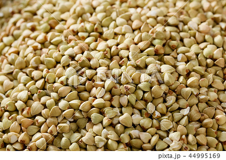 そばの実 44995169