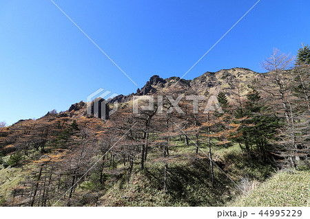 秋の紅葉の季節の浅間山 秋の紅葉の季節の浅間山 44995229