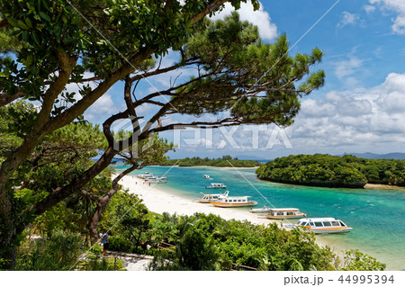 川平湾 石垣島 川平湾 石垣島 44995394