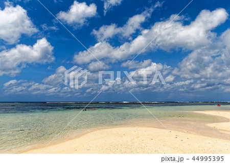 米原ビーチ 44995395