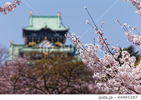大阪城と桜 44995397