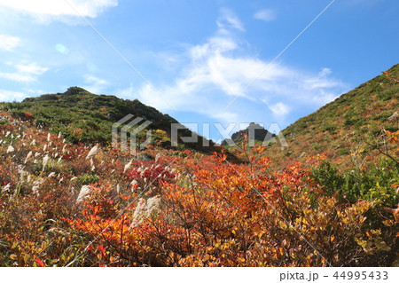 秋の紅葉の季節の安達太良山 秋の紅葉の季節の安達太良山 44995433