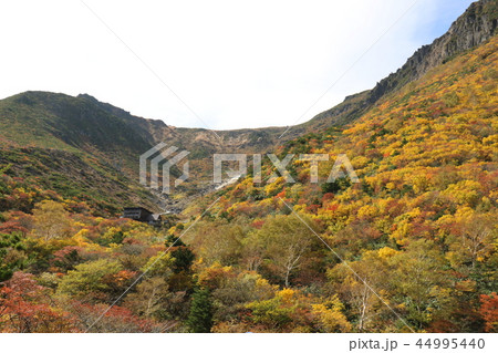 秋の紅葉の季節の安達太良山 44995440