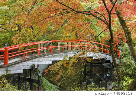 伊香保温泉 河鹿橋 紅葉 伊香保温泉 河鹿橋 紅葉 44995518