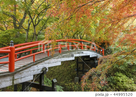 伊香保温泉　河鹿橋　紅葉 44995520