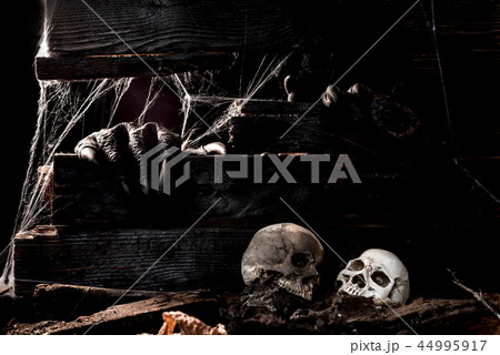 Happy Halloween concept. Trick or treat in autumn Happy Halloween concept. Trick or treat in autumn 44995917