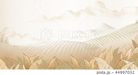 Tea plantation background 44997032