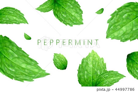 Peppermint background design 44997786