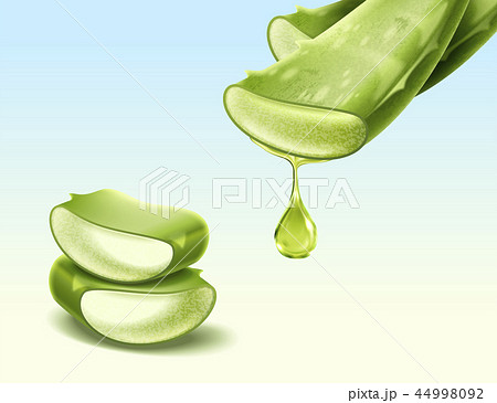 Aloe Vera plant 44998092