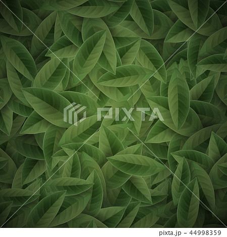 Green tea leaves background Green tea leaves background 44998359