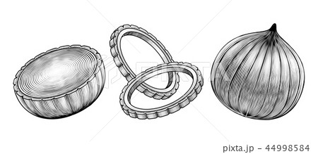 Engraved style onions Engraved style onions 44998584