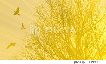 Lonely tree without leaves in fog or mist lit by bright orange sun god rays and flying seagulls Lonely tree without leaves in fog or mist lit by bright orange sun god rays and flying seagulls 44999398