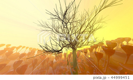 Mountain, fog, mist abstract meadow field full of strange vegetation in form of wine glasses and lit Mountain, fog, mist abstract meadow field full of strange vegetation in form of wine glasses and lit 44999451