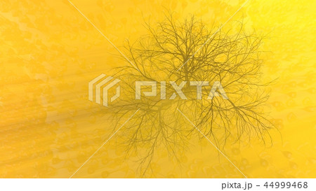 Mountain, fog, mist abstract meadow field full of strange vegetation in form of wine glasses and lit Mountain, fog, mist abstract meadow field full of strange vegetation in form of wine glasses and lit 44999468