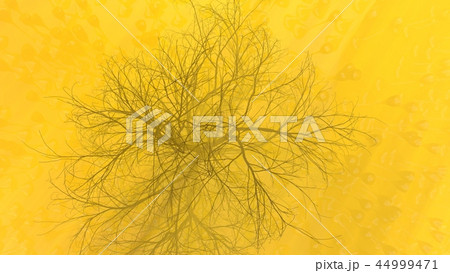 Mountain, fog, mist abstract meadow field full of strange vegetation in form of wine glasses and lit 44999471