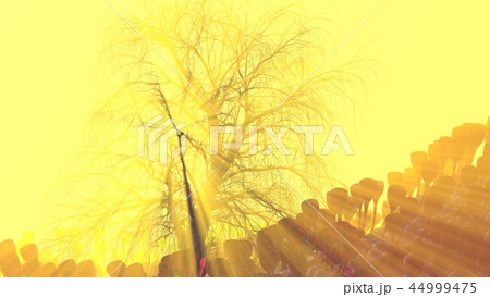 Mountain, fog, mist abstract meadow field full of strange vegetation in form of wine glasses and lit Mountain, fog, mist abstract meadow field full of strange vegetation in form of wine glasses and lit 44999475