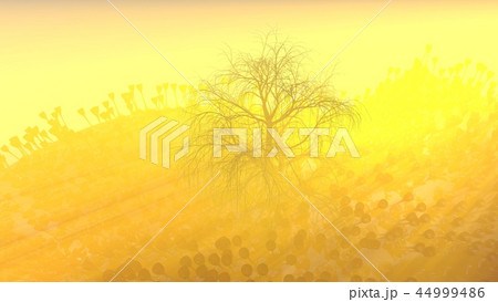Mountain, fog, mist abstract meadow field full of strange vegetation in form of wine glasses and lit 44999486