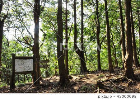 伊勢原市　日向山山頂の案内板と道しるべ 45000098