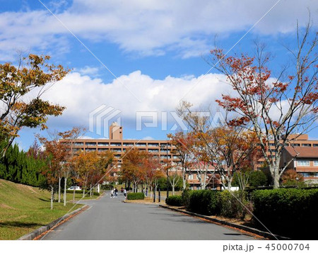 広島大学教育学部西条キャンパス　（東広島市）Hiroshima University 45000704