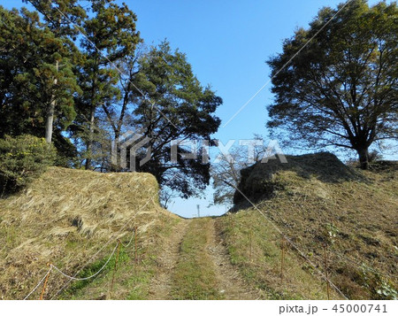 大胡城　虎口と土橋 45000741