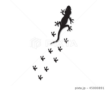 Lizard Chameleon Gecko Silhouette 45000891