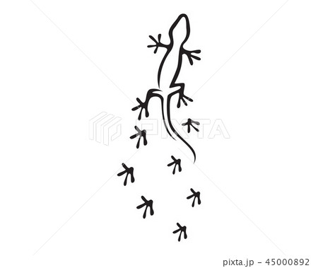 Lizard Chameleon Gecko Silhouette 45000892