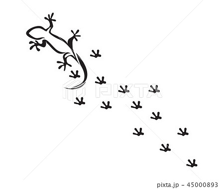Lizard Chameleon Gecko Silhouette 45000893