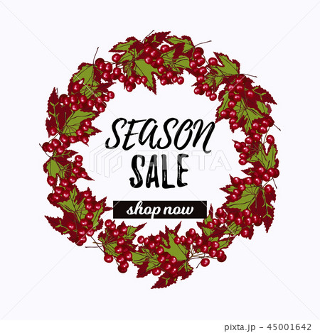 Season sale desiign with viburnum wreath 45001642