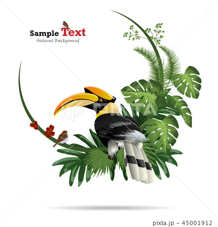 Exotic tropical leaf background in greeting. 45001912