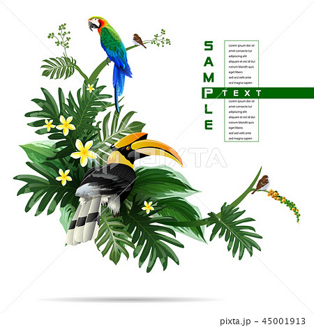 Exotic tropical leaf background in greeting. Exotic tropical leaf background in greeting. 45001913
