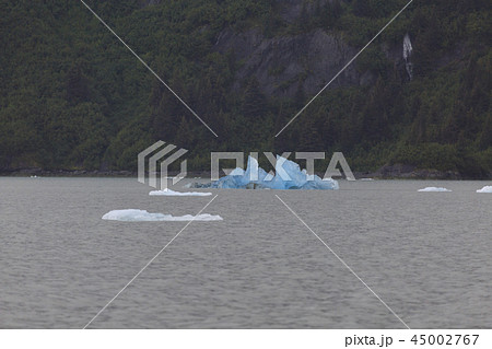 アラスカ　氷河から崩れた流氷 45002767