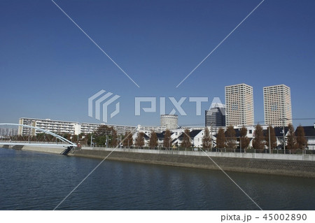 浦安市 10月 45002890