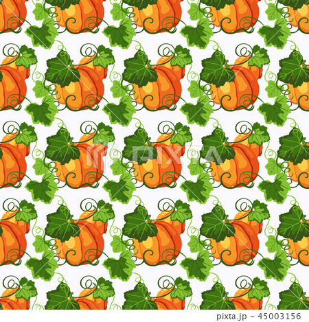 Seamless pattern with pumpkin on white background 45003156